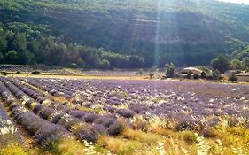 Location provence ventoux sault